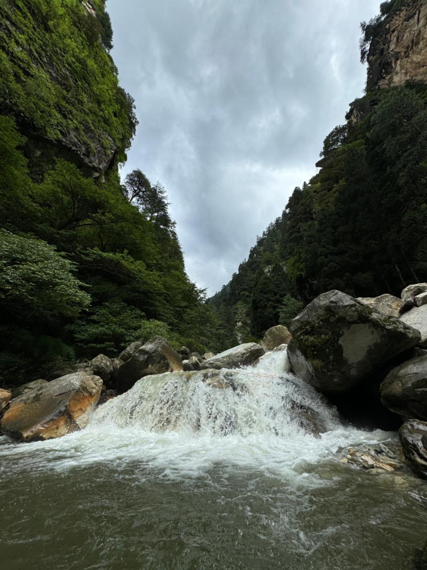 Delight Homestay Kasol Exteriör bild