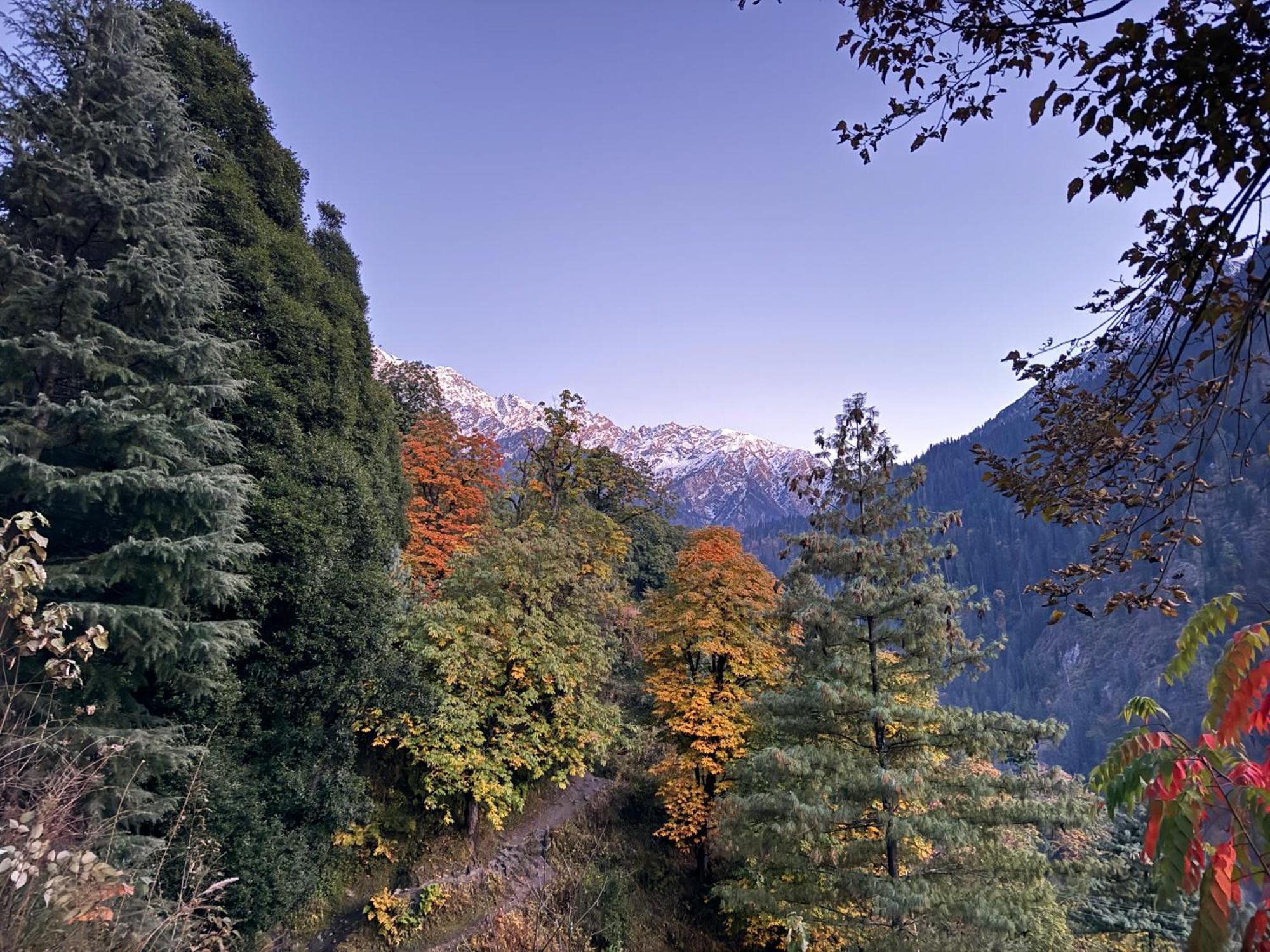 Delight Homestay Kasol Exteriör bild